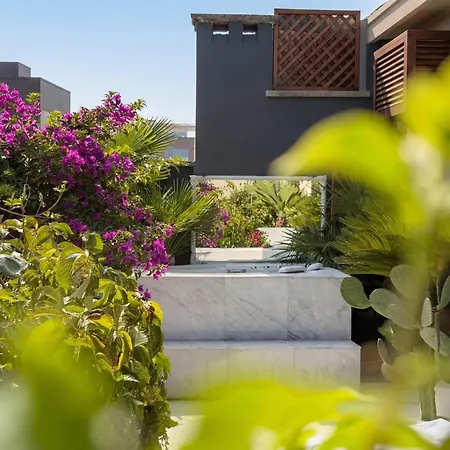 Apartamento Penthouse With Super Terrace
